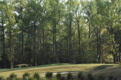 plantersrowcourse0098