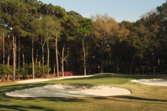 plantersrowcourse0100