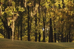 plantersrowcourse0104