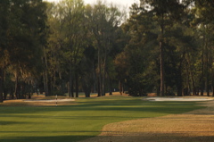 plantersrowcourse0056