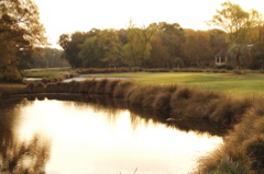 baronygolfcourse0053