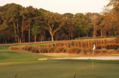 baronygolfcourse0055