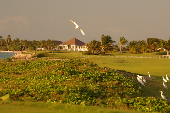 punta cana resort and club0083