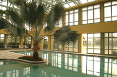 quailwestgolfclubinteriors0320