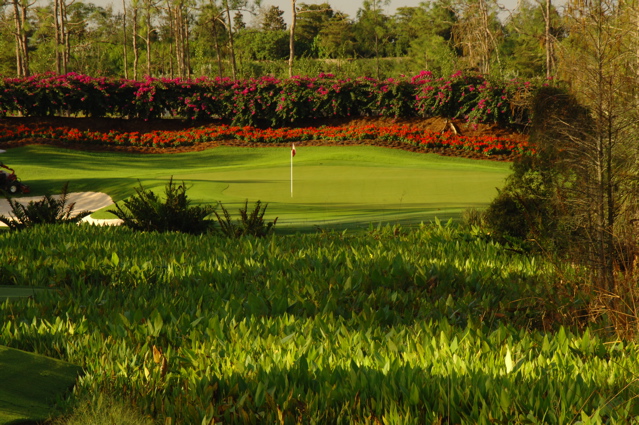 quailwestgolfclub0098