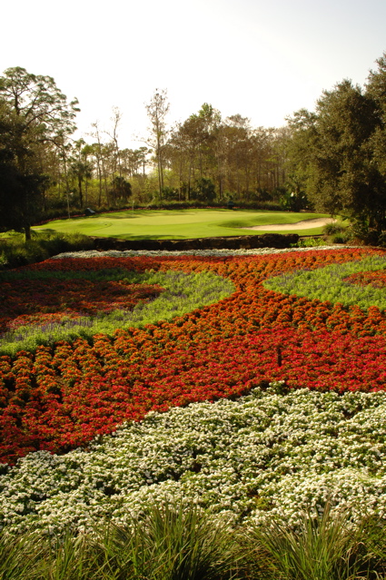 quailwestgolfclub0164