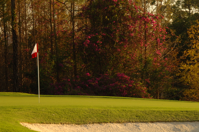 quailwestgolfclubpreserve0410