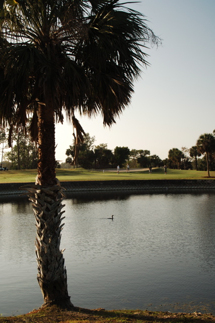 qualityinnandsuitesgolfresort0080