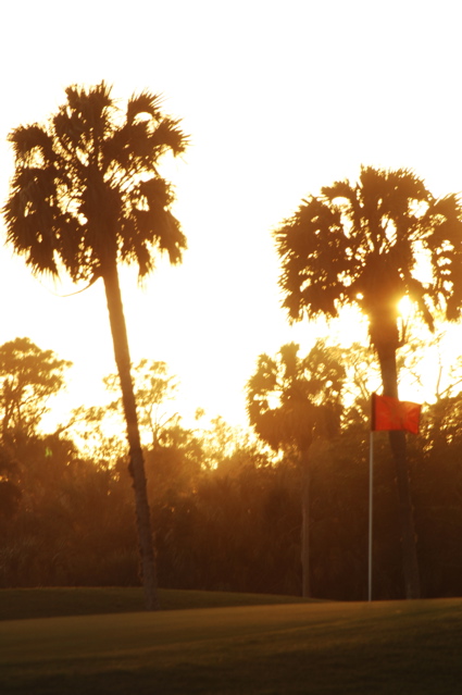 qualityinnandsuitesgolfresort0121