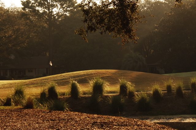 robbersrowcourse0136