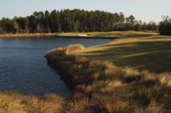 floridagolfcourses0160