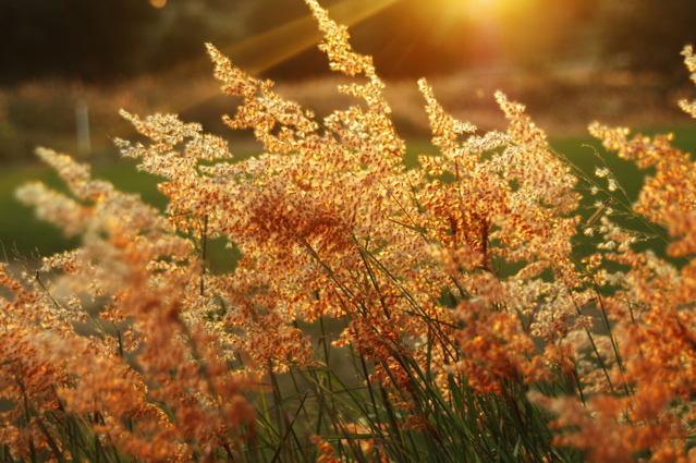 sugarloafmountain0045