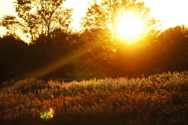 sugarloafmountain0043