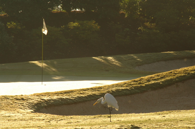 thedunesgolfandbeachclub0095