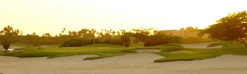 divi village golf and beach resort1334