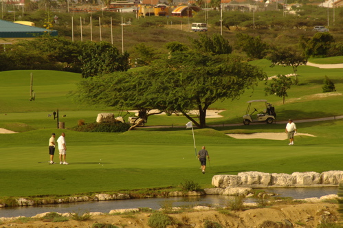 divi village golf and beach resort1392