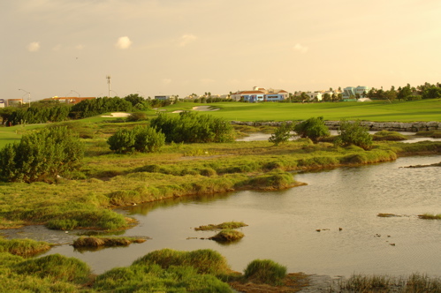 divi village golf and beach resort1441