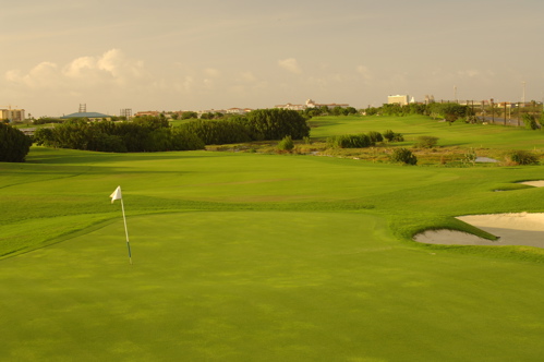 divi village golf and beach resort1449