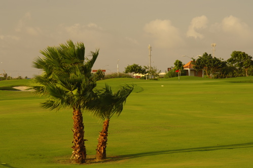 divi village golf and beach resort1455