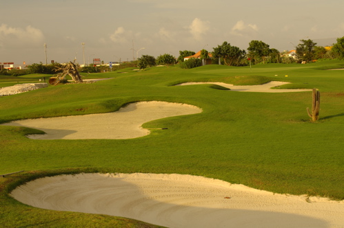 divi village golf and beach resort1459