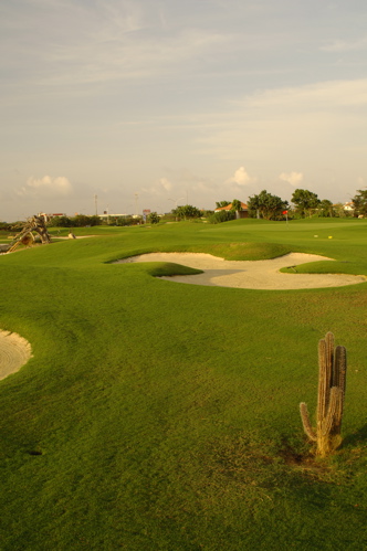 divi village golf and beach resort1461