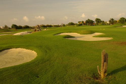 divi village golf and beach resort1462