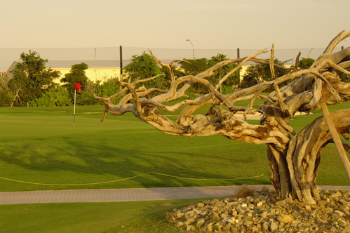 divi village golf and beach resort1469