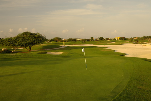 divi village golf and beach resort1470