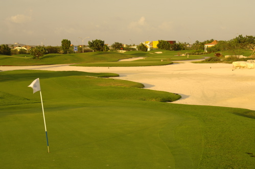 divi village golf and beach resort1472