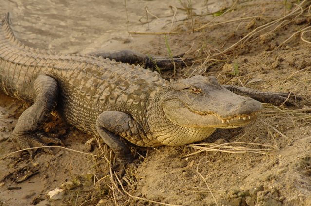 thequarrygolfclub0168