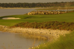 thequarrygolfclub0116