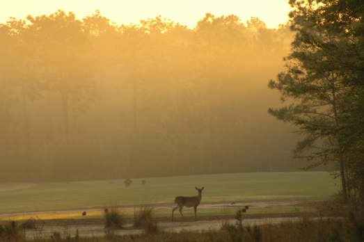 thereserveatpawleys0124