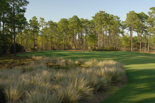 thereserveatpawleys0029