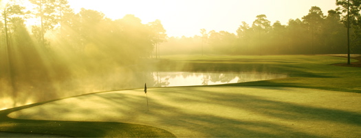 thereserveatpawleys0141