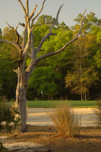 thereserveatpawleys0001