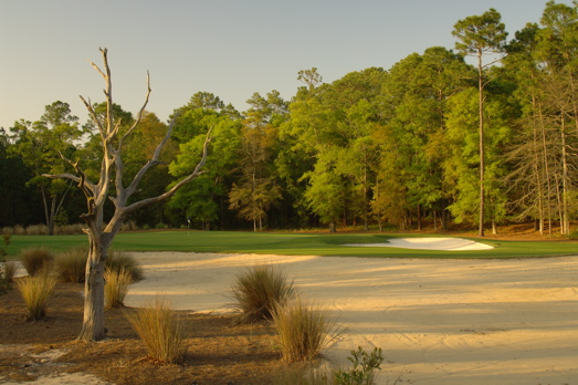 thereserveatpawleys0002