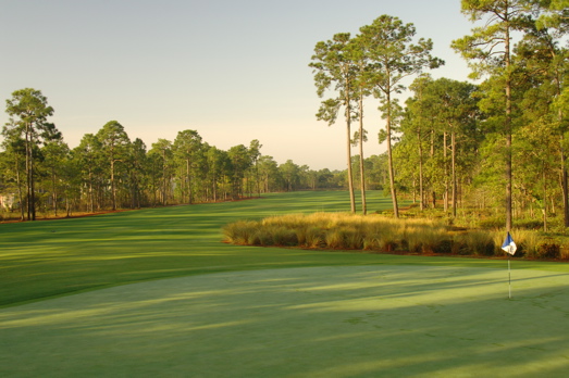 thereserveatpawleys0172