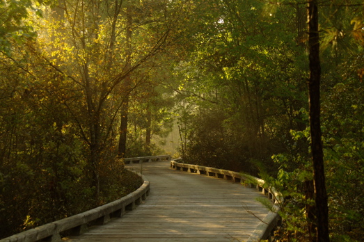 thereserveatpawleys0175