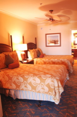 therookeryatmarco0200