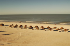 therookeryatmarco0190