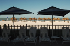 therookeryatmarco0219