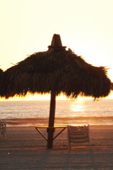 therookeryatmarco0432