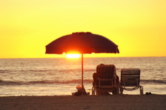 therookeryatmarco0442