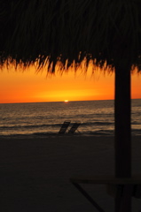 therookeryatmarco0446