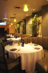 therookeryatmarco0419