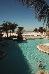 therookeryatmarco0454