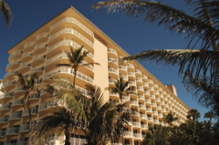 therookeryatmarco0462