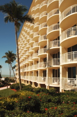 therookeryatmarco0467