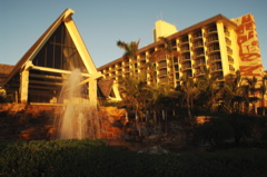 therookeryatmarco0241