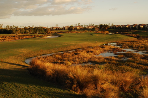 therookeryatmarco0056